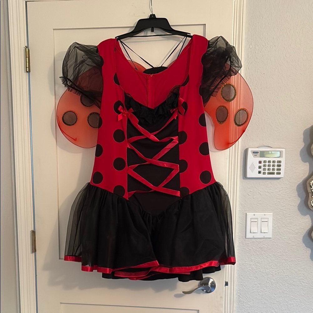 Ladybug Costume - Red and Black